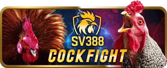 Chương trình VIP độc quyền của wstar777 nhà cái